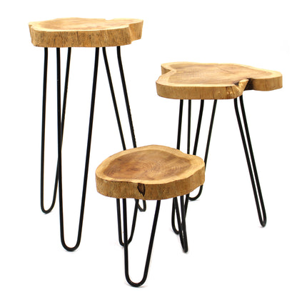 Set of 3 Gamal Wood Plant Stands - Natural